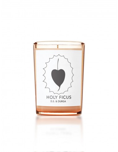 Holy Ficus Candle sur le site 