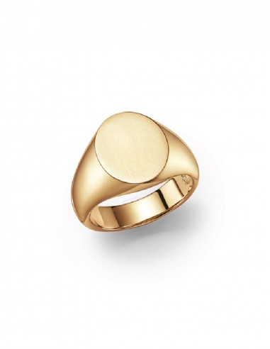 Signet, 18K Yellow Gold Ring la colonne vertébrale