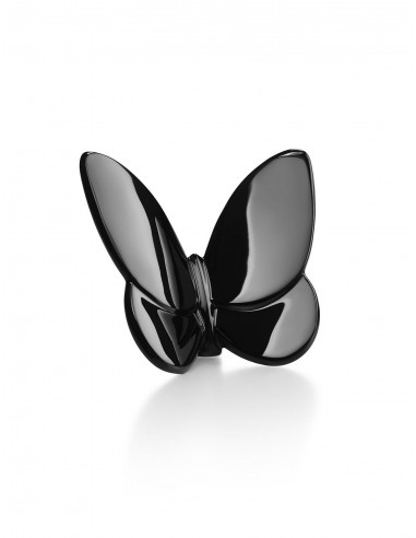 Papillon Lucky Butterfly Profitez des Offres !