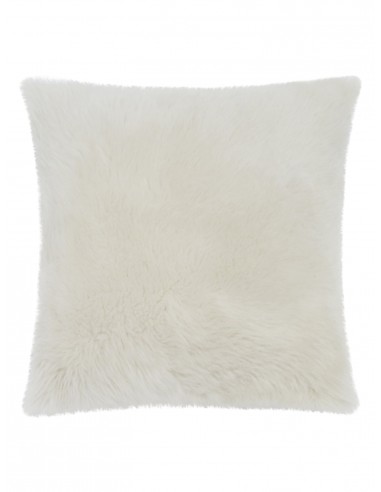 Igloo Pillow Profitez des Offres !