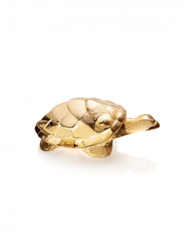 Caroline Turtle Sculpture acheter