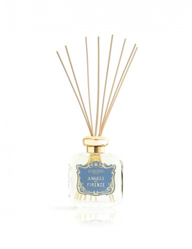 Angeli di Firenze Room Fragrance Diffuser meilleur choix