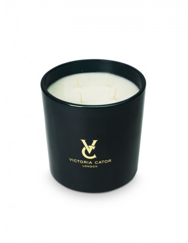 Rouge Ancien 4-Wick Candle Amélioration de cerveau avec