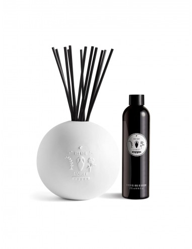 Rose Noire Porcelain Diffuser Set vente chaude votre 