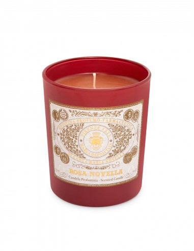 Rosa Novella Scented Candle l'évolution des habitudes 