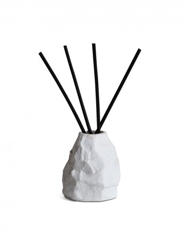 Max Lamb Crockery Diffuser s'inspire de l'anatomie humaine