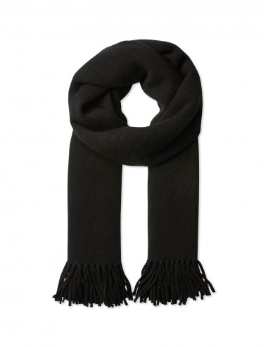 Merino Cashmere Tassel Scarf la colonne vertébrale