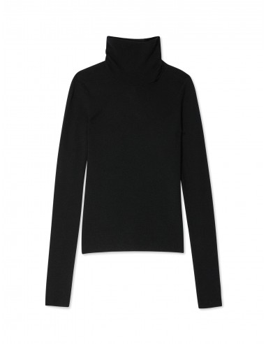 Superfine Merino Fitted Turtleneck en ligne des produits 