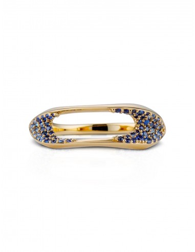 Aerial Concordia, 18K Yellow Gold + Blue Sapphire Ring prix pour 