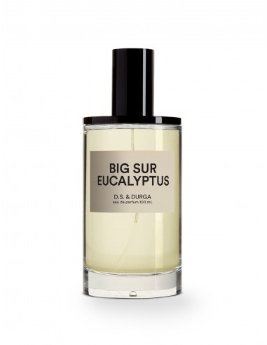 Big Sur Eucalyptus Eau de Parfum, 100ml Toutes les collections ici