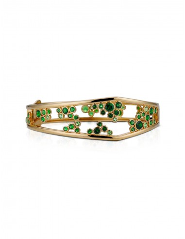 Aerial Bubble, 18K Yellow Gold + Tsavorites Bangle paiement sécurisé