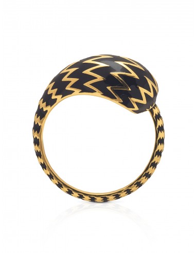 Baoli Flow Single Coil Black, 18K Yellow Gold Ring l'achat 