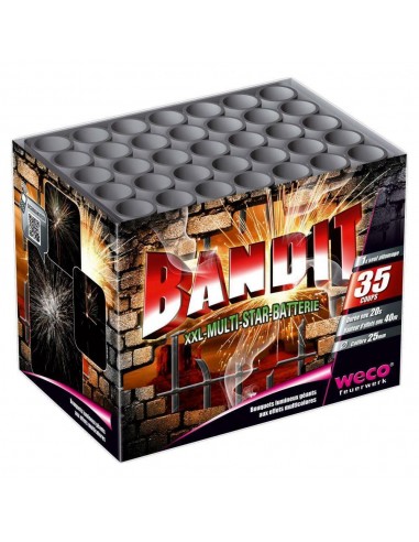 COMPACT XXL 500 BANDIT basket pas cher